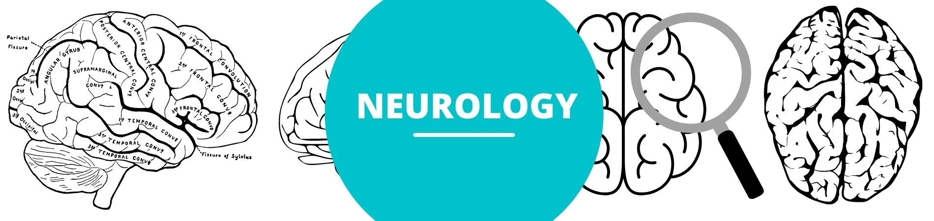 Neurology in new gurgaon