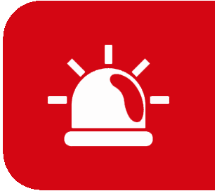 EmergencyIcon