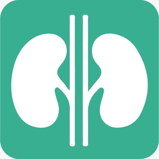 Nephrology