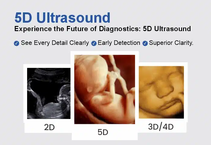 5d-ultrasound