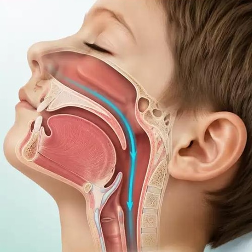 Enlarged tonsils and adenoids hospital india
